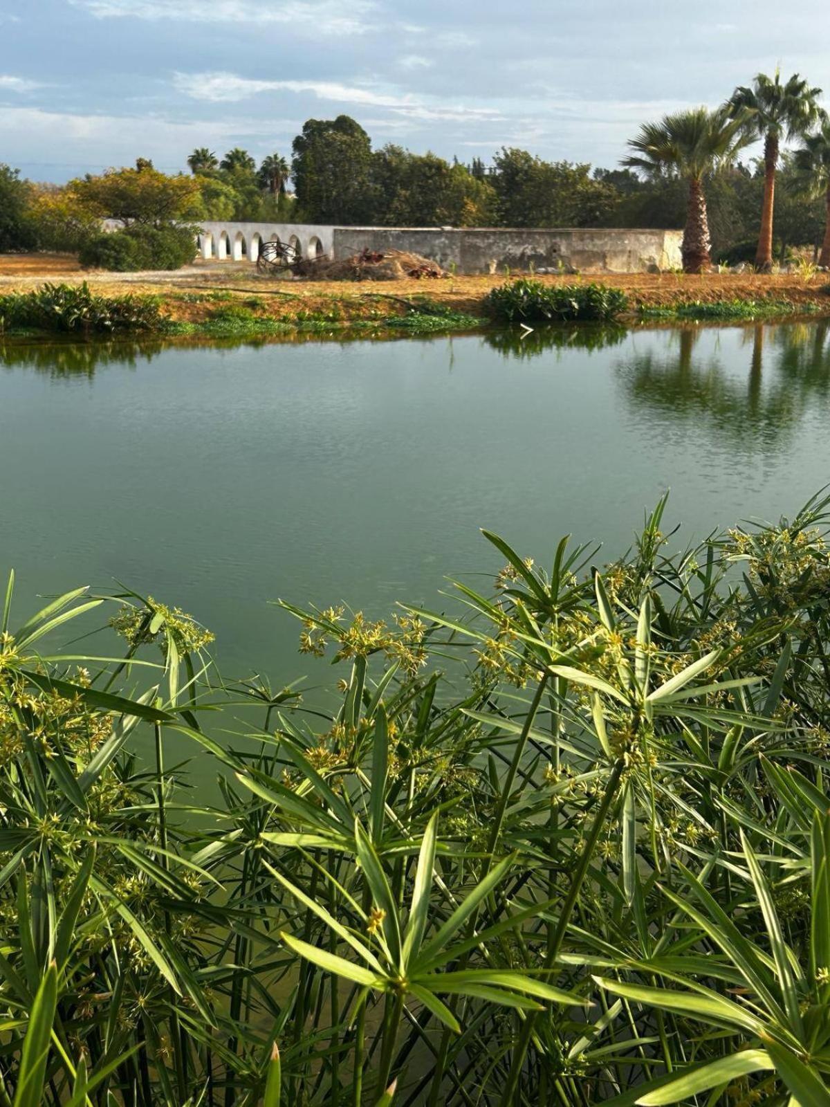 Glamping On Organic Yoga Farm With Natural Swimming Pool Near Beach Moncarapacho Εξωτερικό φωτογραφία