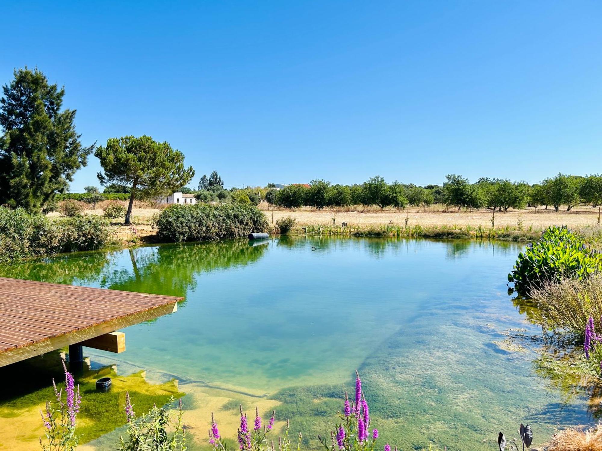 Glamping On Organic Yoga Farm With Natural Swimming Pool Near Beach Moncarapacho Εξωτερικό φωτογραφία